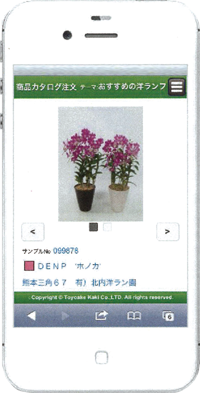 イロドリ*ミドリ画面イメージ