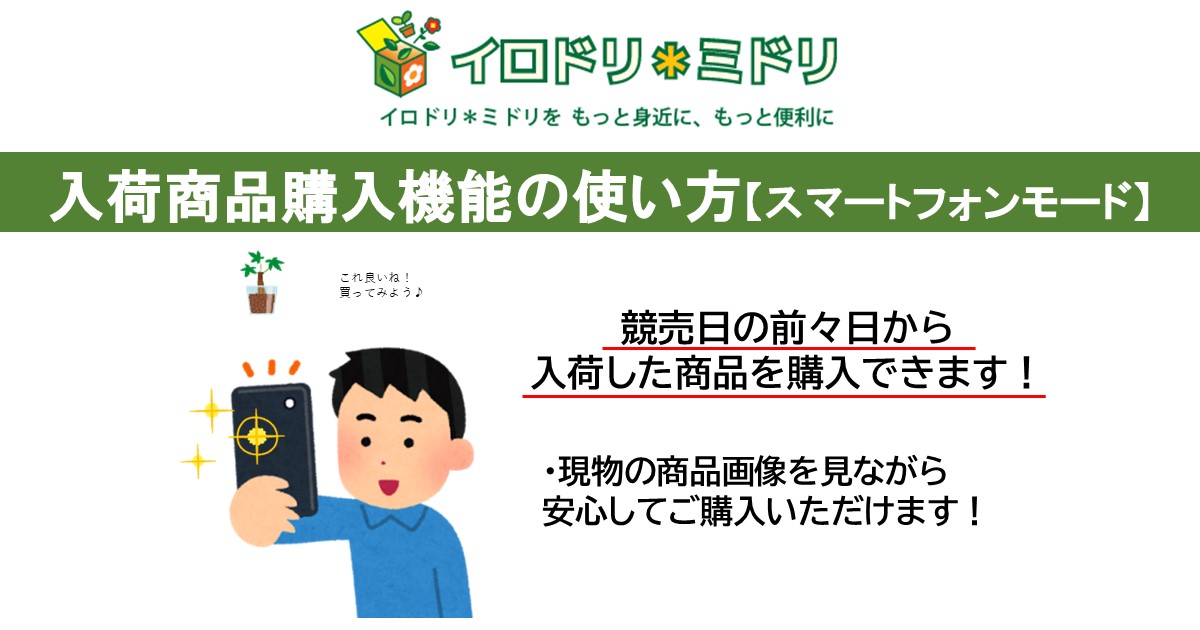 入荷商品購入機能の使い方【スマートフォン編】 – 豊明花き株式会社